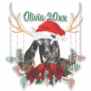 ADD NAME - Beautiful Christmas Nubian Goat Kid