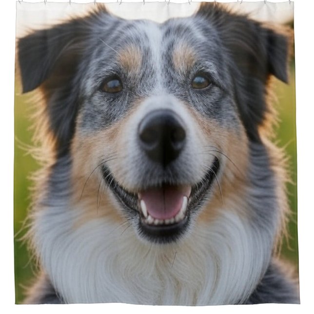 Add Pet Photo Customize (Front)