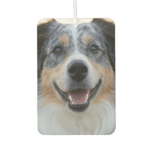 Add Pet Photo Customize Air Freshener