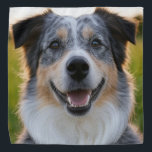 Add Pet Photo Customize Bandana<br><div class="desc">Add Pet Photo Customize,  Add Pet Photo,  Add Dog Photo,  Pet,  Pets,  Dog,  Personalize,  Customize,  Photo,  generativecontent</div>