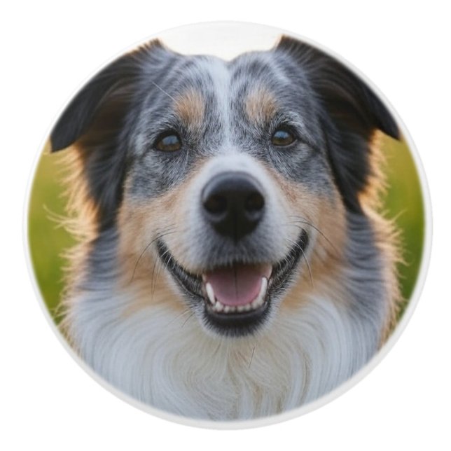Add Pet Photo Customize Ceramic Knob (Front)