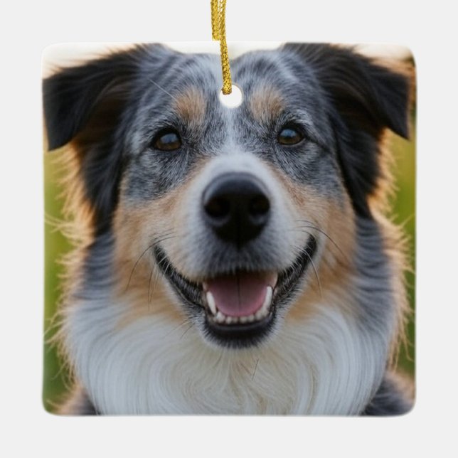 Add Pet Photo Customize Ceramic Ornament (Front)