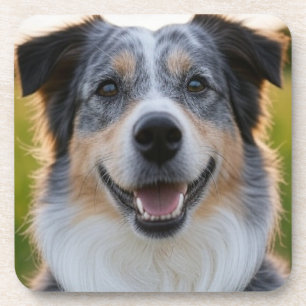 Add Pet Photo Customize Coaster