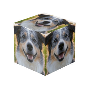 Add Pet Photo Customize Cube