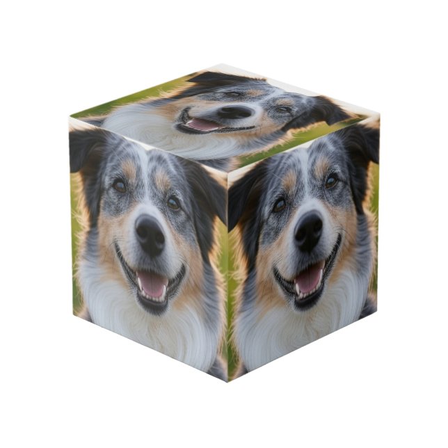 Add Pet Photo Customize Cube (Front Angled)