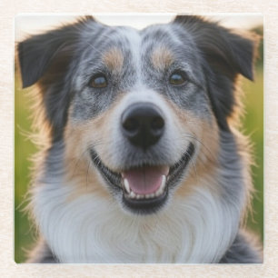 Add Pet Photo Customize Glass Coaster