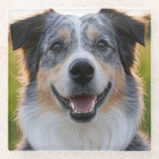 Add Pet Photo Customize Glass Coaster (Front)