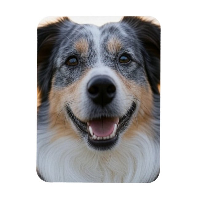 Add Pet Photo Customize Magnet (Vertical)