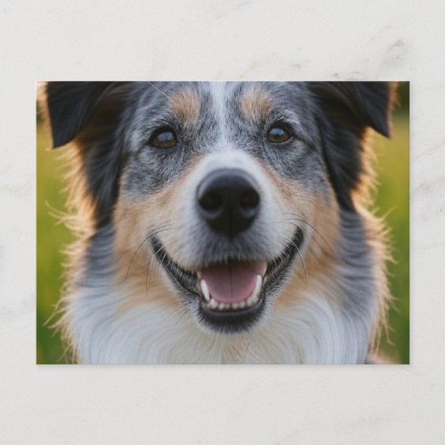 Add Pet Photo Customize Postcard (Front)