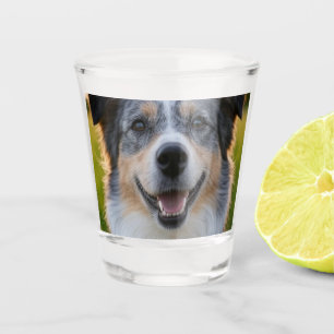Add Pet Photo Customize Shot Glass