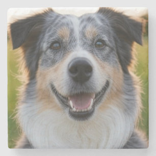 Add Pet Photo Customize Stone Coaster