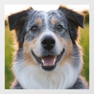 Add Pet Photo Customize Window Cling