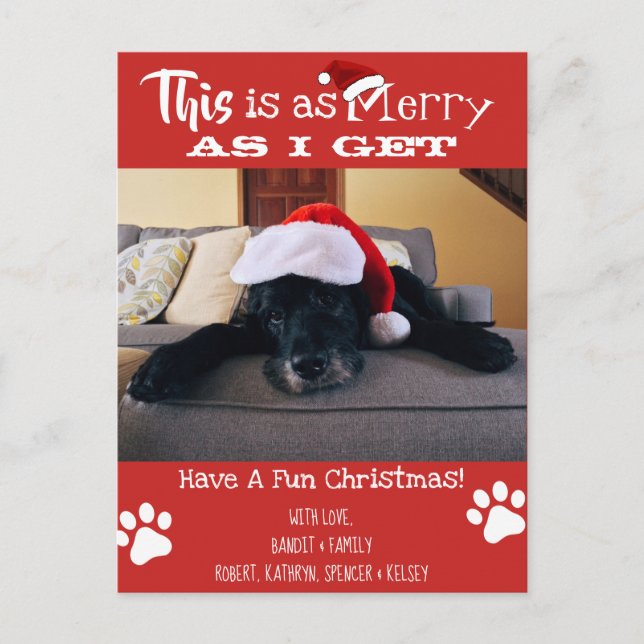 Add Pet Photo "This Is As Merry As I Get" Holiday Postcard (Front)