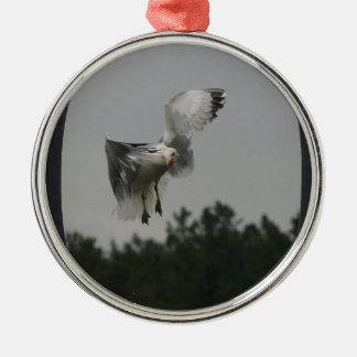 Add Photo Large Oval Frame(black) Metal Ornament