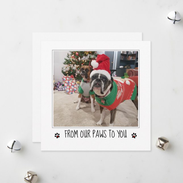 Add Photo to From the Dog Christmas Holiday Card (Front/Back In Situ)