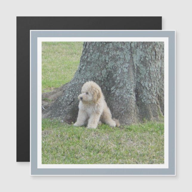 Add Photo to Square Template Refrigerator Magnet (Front/Back)
