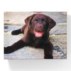 Add Photo Unique One Of A Kind Personalized