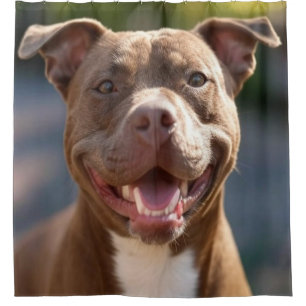 Add Pit Bull Photo Customize