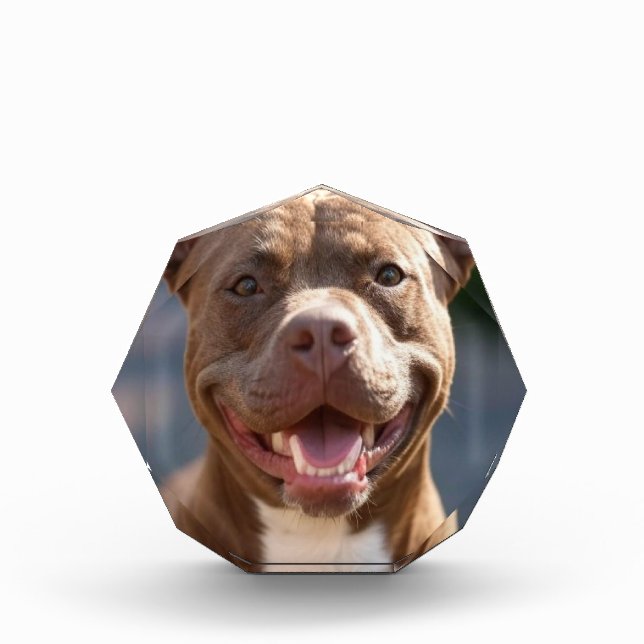 Add Pit Bull Photo Customize Block (Front)