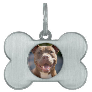 Add Pit Bull Photo Customize Pet ID Tag
