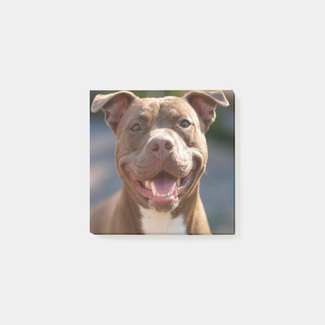Add Pit Bull Photo Customize Post-it Notes (Front)