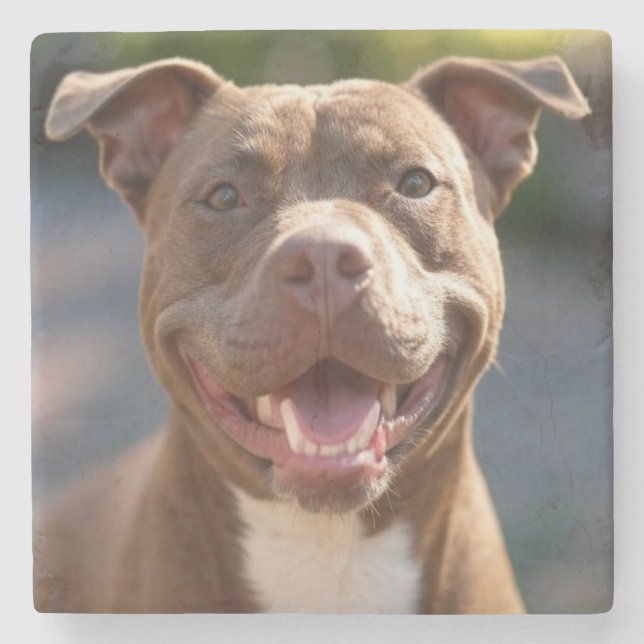 Add Pit Bull Photo Customize Stone Coaster (Front)