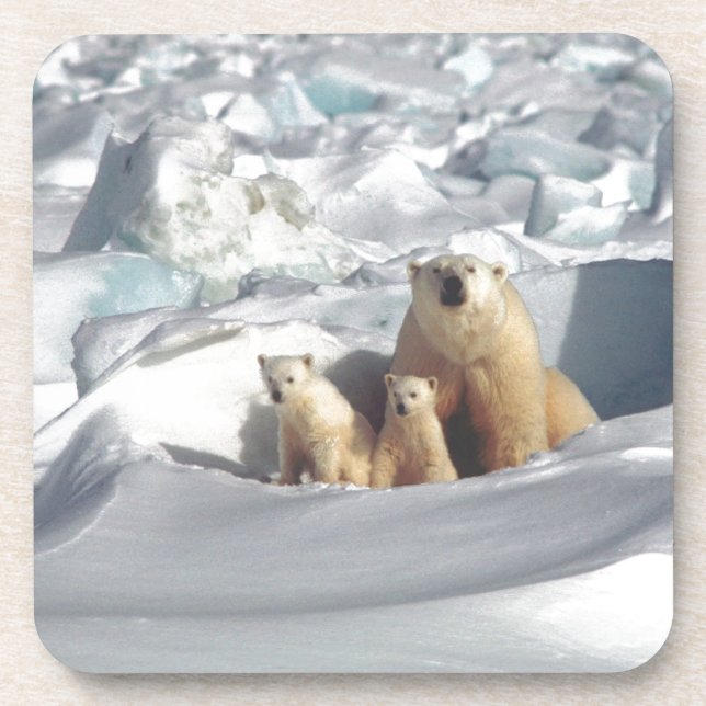 Add SLOGAN to Save Arctic Polar Bears Planet Ice Coaster (Front)