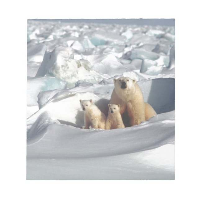 Add SLOGAN to Save Arctic Polar Bears Planet Ice Notepad (Front)