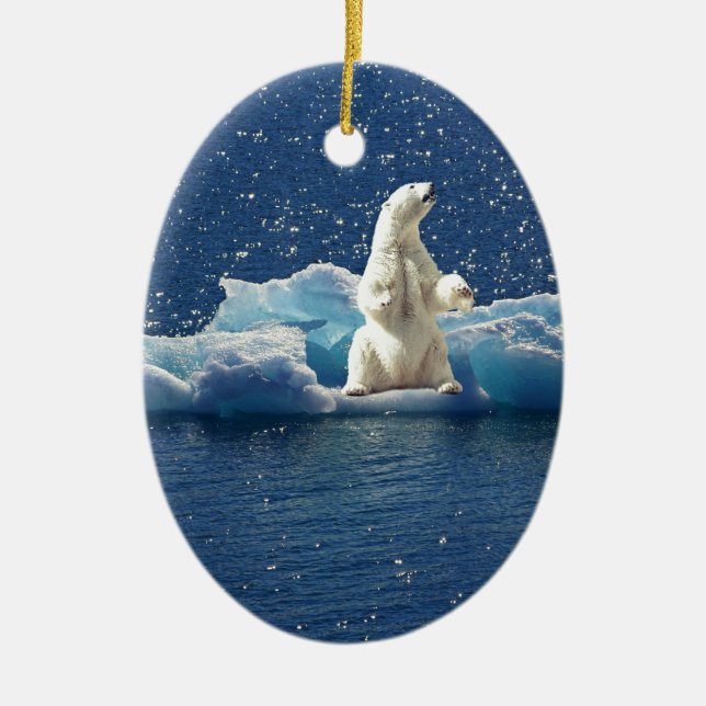 Add SLOGAN to Save Polar Bears Arctic Planet Ice Ceramic Ornament (Front)
