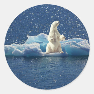 Add SLOGAN to Save Polar Bears Arctic Planet Ice Classic Round Sticker