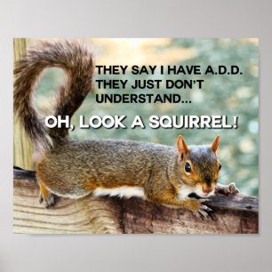 ADD Squirrel Photo Poster