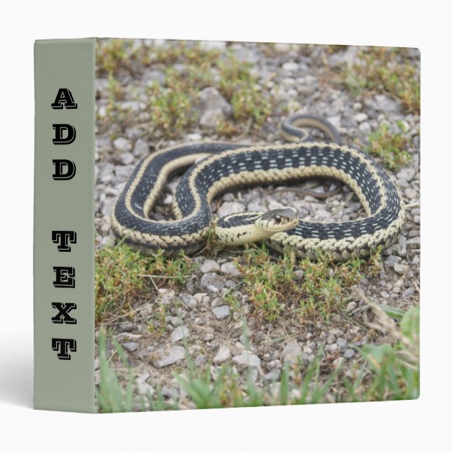 Add Text, Snake 3 Ring Binder (Front/Spine)