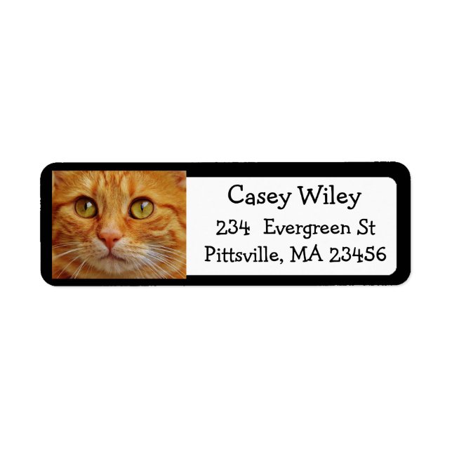Add your Cat's Photo to this Address Label (Front)