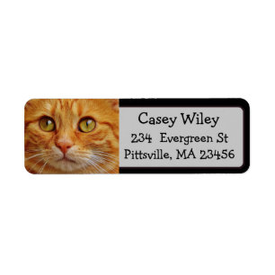 Add your Cat's Photo to this Address Label