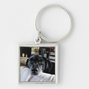 Add your Dog Photo to this Keychain