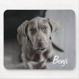 Add your Dog's Photo and name to this Mouse Pad
