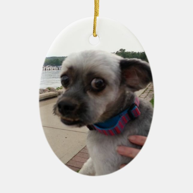 Add your Dog's Photo to this Ornament (Front)