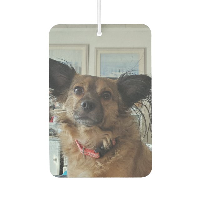 Add Your Favourite Dog Photos to these  Air Freshener (Front)