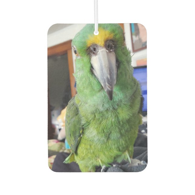Add Your Favourite Parrot, Bird Photos to these  Air Freshener (Front)