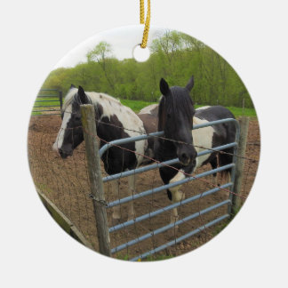 Add your Favourite Pet Photo to this Ceramic Ornament