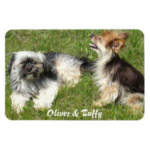 Add Your Favourite Photo Magnet