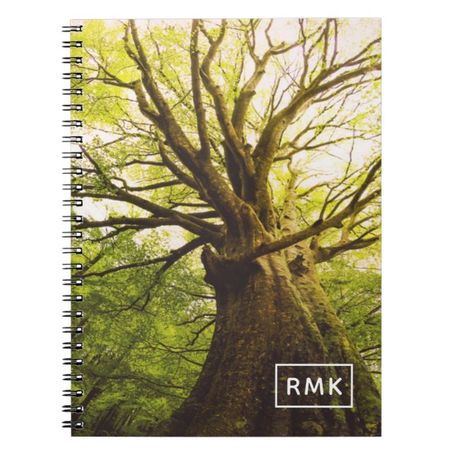 Add Your Monogram | Beautiful Beech Tree Notebook (Front)