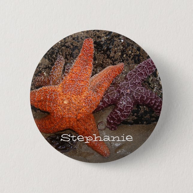 Add Your Name: Colourful Starfish/Sea Star Photo 1 2 Inch Round Button (Front)