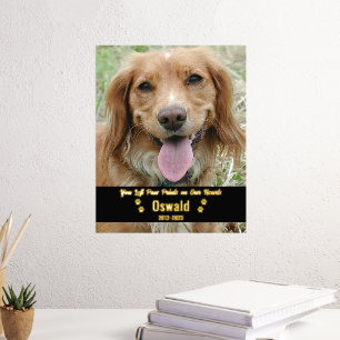 Add Your Own Custom Photo Pet Dog Memorial 8x10 Foil Prints