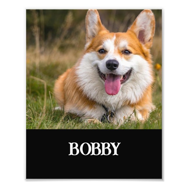 Add your own dog photo and name (Front)