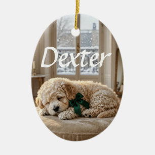 Add Your Own Photo Cute Pets Ceramic Ornament 