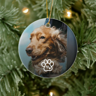 Add Your Own Photo Dog Pets Monogram Ceramic Ornament