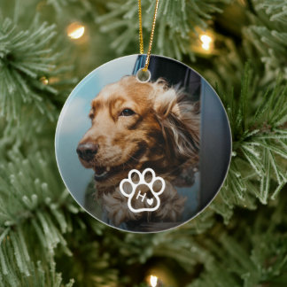 Add Your Own Photo Dog Pets Monogram Ceramic Ornament