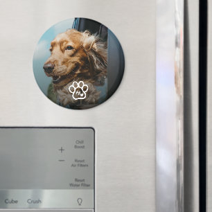 Add Your Own Photo Dog Pets Monogram Magnet