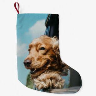 Add Your Own Photo Dog Pets Small Christmas Stocking